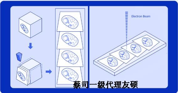 荣昌蔡司荣昌扫描电镜