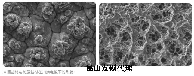 荣昌蔡司荣昌扫描电镜