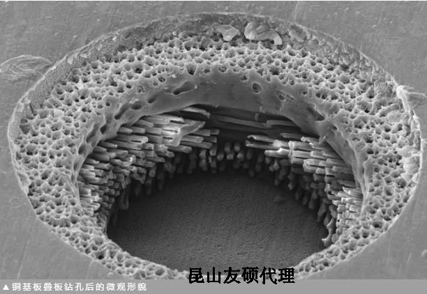 荣昌蔡司荣昌扫描电镜